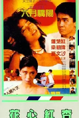 堂兄弟