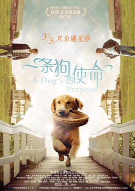 精品成人免费播放国产片