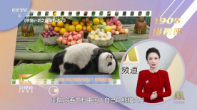 国产二区视频在线观看